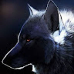 Meet your Posher, Mauricio